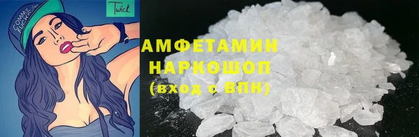 стаф Верея