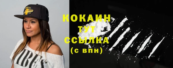 стаф Верея