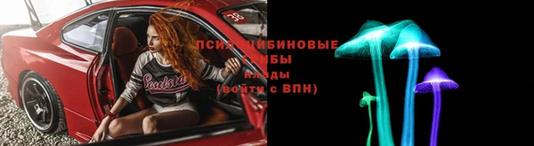 стаф Верея
