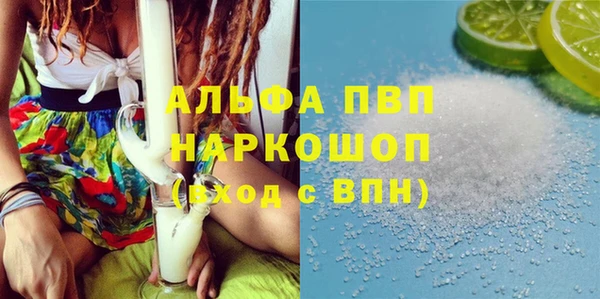 стаф Верея