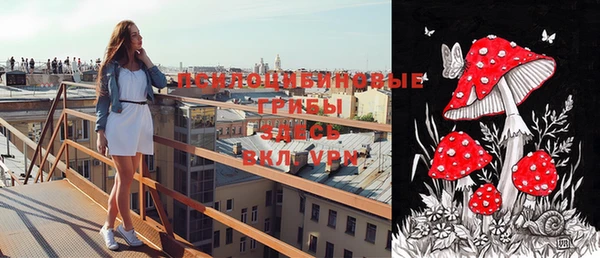 ALPHA-PVP Верхний Тагил